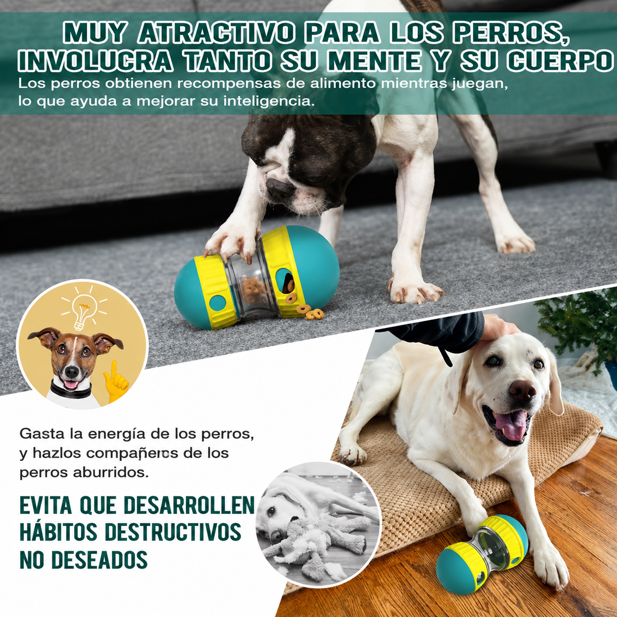 JUGUETE INTERACTIVO PARA PERROS – MENOS ANSIEDAD Y MÁS DIVERSIÓN ✔️